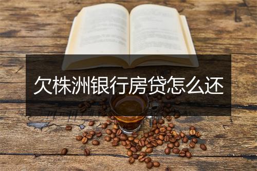 欠株洲银行房贷怎么还