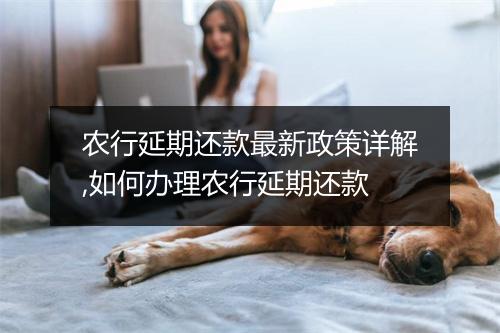 农行延期还款最新政策详解,如何办理农行延期还款