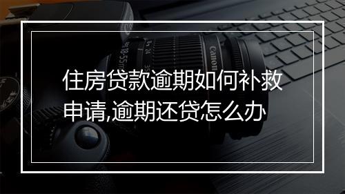 住房贷款逾期如何补救申请,逾期还贷怎么办