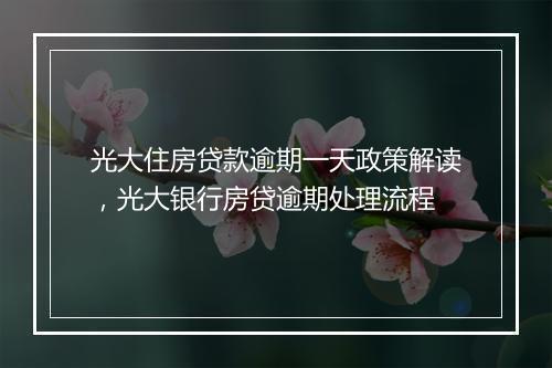 光大住房贷款逾期一天政策解读，光大银行房贷逾期处理流程
