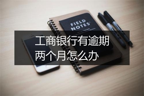 工商银行有逾期两个月怎么办