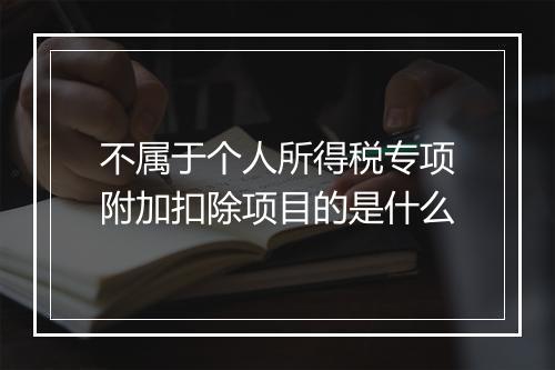 不属于个人所得税专项附加扣除项目的是什么