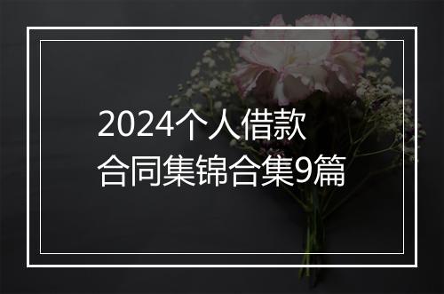 2024个人借款合同集锦合集9篇