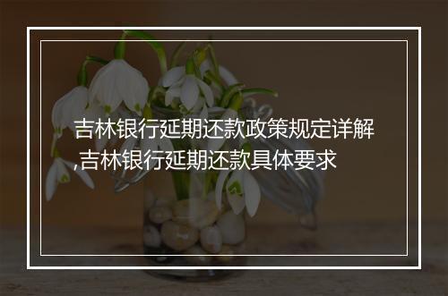 吉林银行延期还款政策规定详解,吉林银行延期还款具体要求