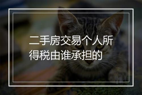 二手房交易个人所得税由谁承担的