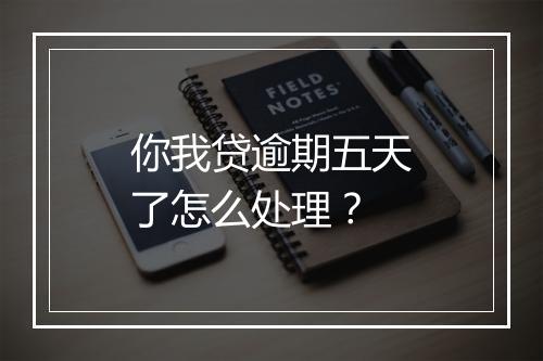 你我贷逾期五天了怎么处理？