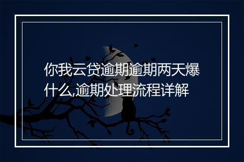 你我云贷逾期逾期两天爆什么,逾期处理流程详解