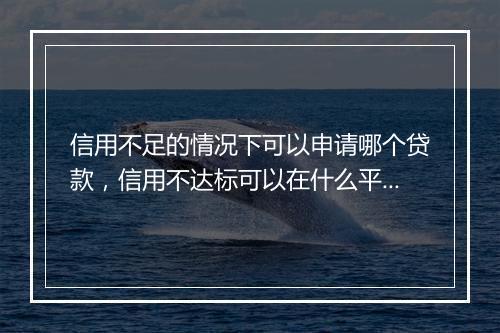 信用不足的情况下可以申请哪个贷款，信用不达标可以在什么平台借钱