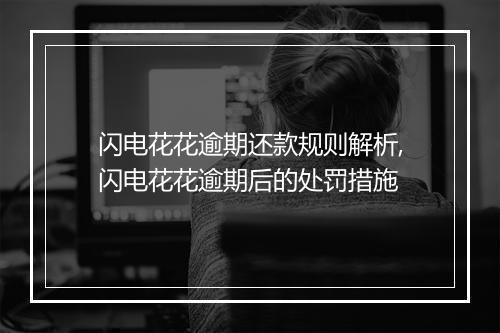 闪电花花逾期还款规则解析,闪电花花逾期后的处罚措施