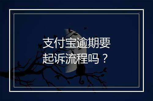 支付宝逾期要起诉流程吗？