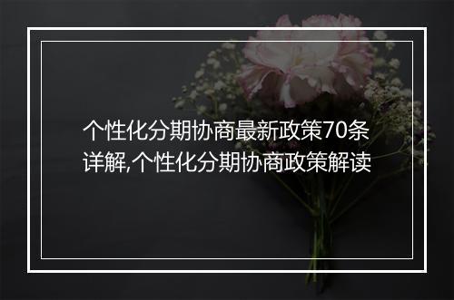 个性化分期协商最新政策70条详解,个性化分期协商政策解读