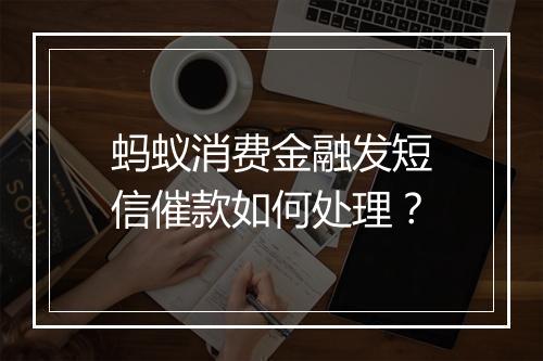 蚂蚁消费金融发短信催款如何处理？