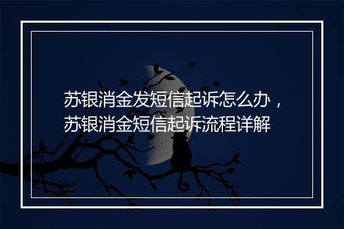苏银消金发短信起诉怎么办，苏银消金短信起诉流程详解