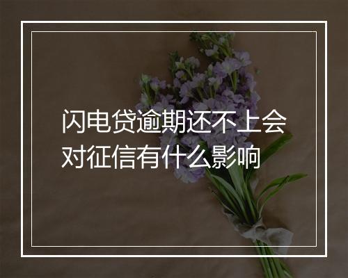 闪电贷逾期还不上会对征信有什么影响