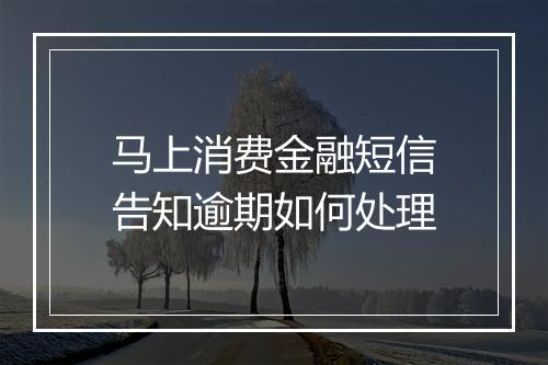 马上消费金融短信告知逾期如何处理