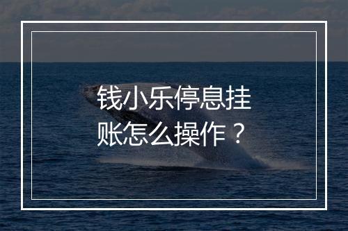 钱小乐停息挂账怎么操作？