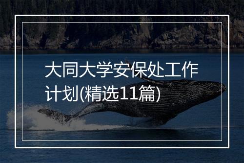 大同大学安保处工作计划(精选11篇)