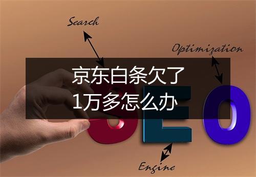 京东白条欠了1万多怎么办