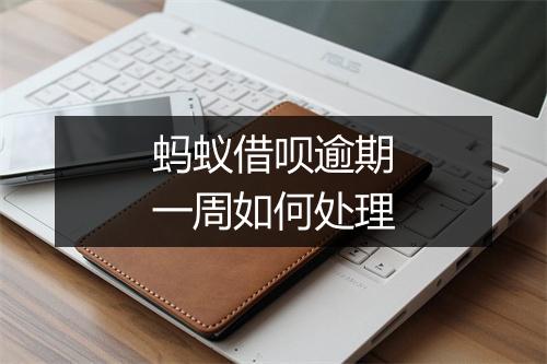 蚂蚁借呗逾期一周如何处理