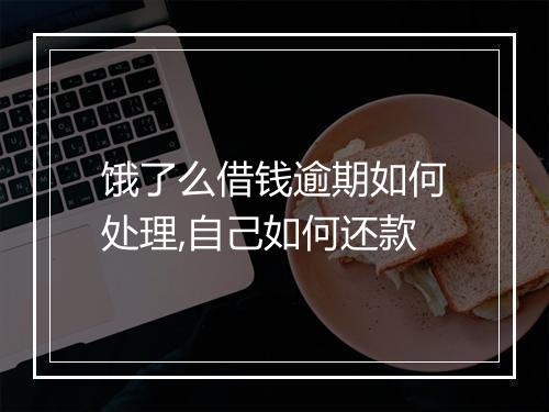 饿了么借钱逾期如何处理,自己如何还款