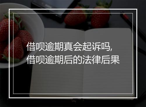 借呗逾期真会起诉吗,借呗逾期后的法律后果
