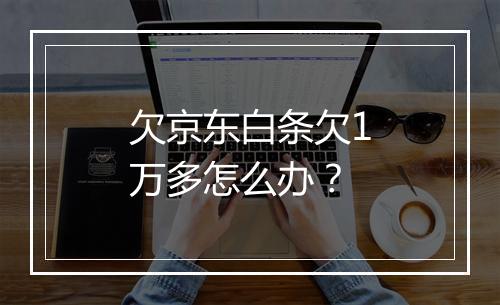 欠京东白条欠1万多怎么办？