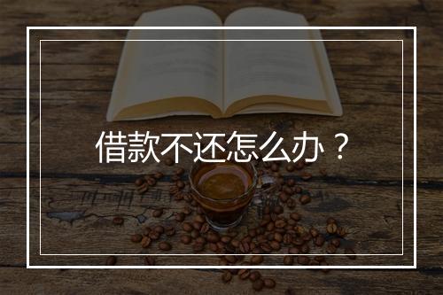 借款不还怎么办？