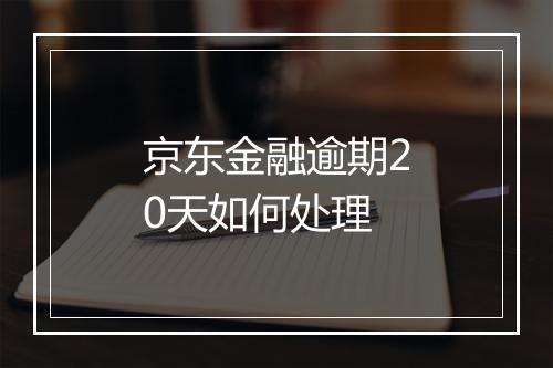 京东金融逾期20天如何处理