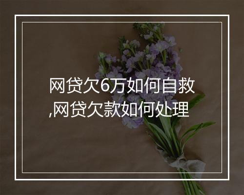 网贷欠6万如何自救,网贷欠款如何处理
