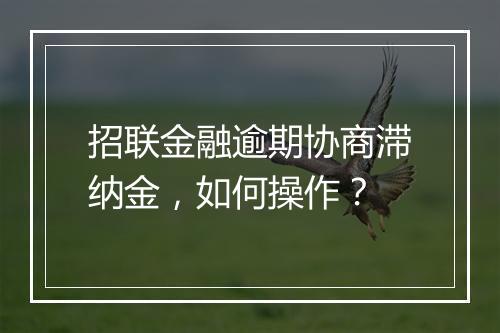 招联金融逾期协商滞纳金，如何操作？