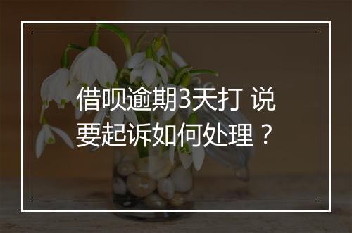 借呗逾期3天打 说要起诉如何处理？