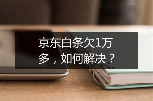 京东白条欠1万多，如何解决？