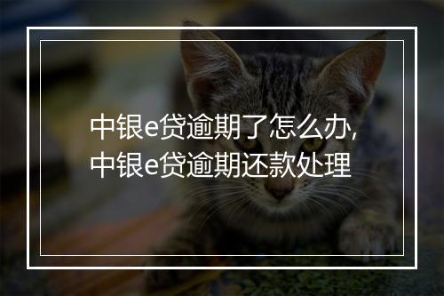 中银e贷逾期了怎么办,中银e贷逾期还款处理