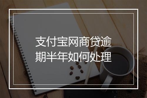 支付宝网商贷逾期半年如何处理