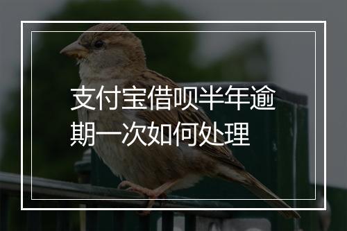 支付宝借呗半年逾期一次如何处理