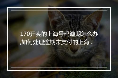170开头的上海号码逾期怎么办,如何处理逾期未支付的上海手机号码