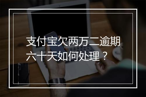 支付宝欠两万二逾期六十天如何处理？