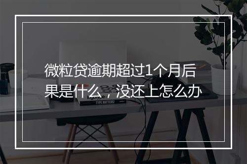 微粒贷逾期超过1个月后果是什么，没还上怎么办