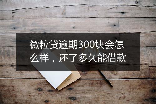微粒贷逾期300块会怎么样，还了多久能借款