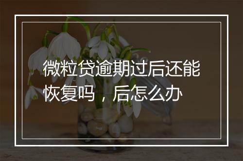 微粒贷逾期过后还能恢复吗，后怎么办