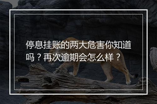 停息挂账的两大危害你知道吗？再次逾期会怎么样？