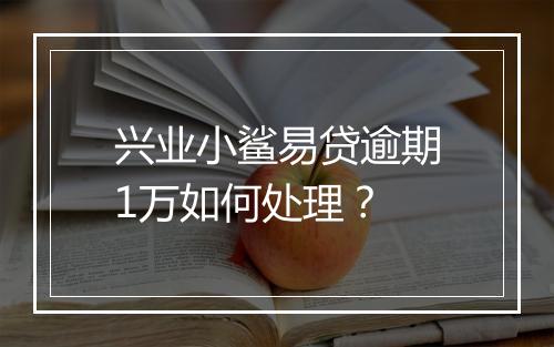 兴业小鲨易贷逾期1万如何处理？