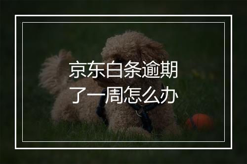 京东白条逾期了一周怎么办