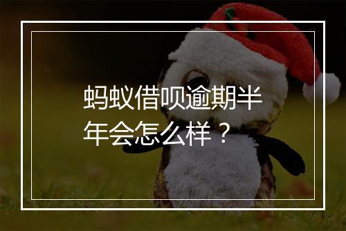 蚂蚁借呗逾期半年会怎么样？