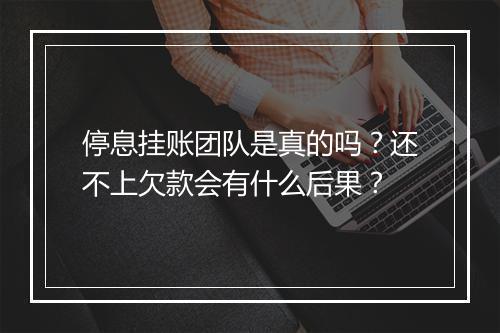 停息挂账团队是真的吗？还不上欠款会有什么后果？