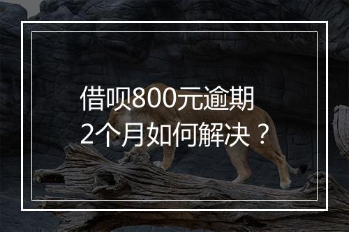 借呗800元逾期2个月如何解决？