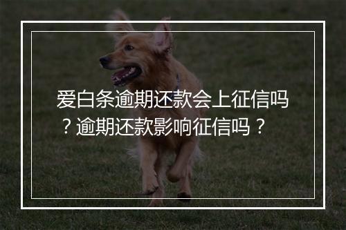 爱白条逾期还款会上征信吗？逾期还款影响征信吗？