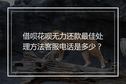 借呗花呗无力还款最佳处理方法客服电话是多少？
