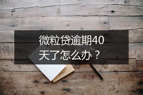 微粒贷逾期40天了怎么办？