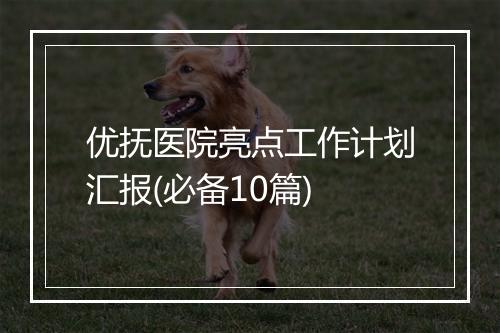 优抚医院亮点工作计划汇报(必备10篇)